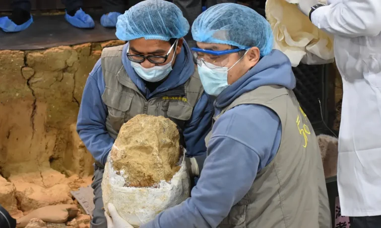 Big Surprise as China’s Human Skull Discovery Could Rewrite Human History