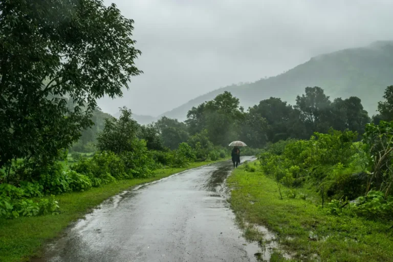 Current Rainy Situation in India: Monsoon 2025 and Its Impact on States